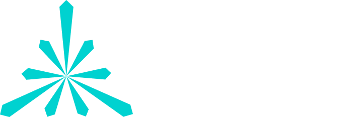 Carrier partner